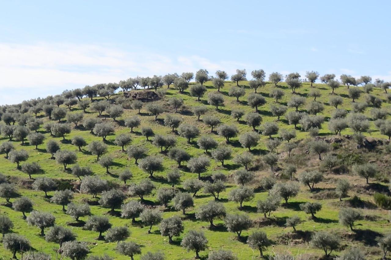 Agroturismo Casal De Castro Avantos Esterno foto